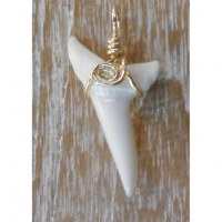 Pendentif dent de requin Mako