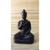 Bouddha vitarka mudra