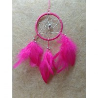 Dreamcatcher Yine rose