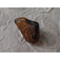 Agate dendrite