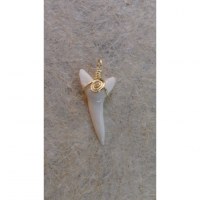 Pendentif dent de requin mako E