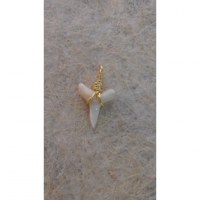 Pendentif petite dent de requin mako I