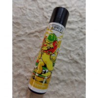 Briquet lion sportif