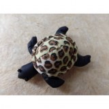 Ani thaï tortue de mer 2