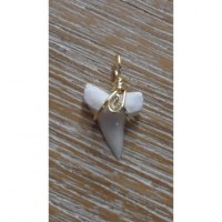 Pendentif 1 dent de requin mako