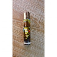 Briquet pirate 4