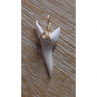 Pendentif 3 dent de requin mako