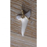 Pendentif 9 dent de requin mako