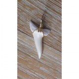 Pendentif 10 dent de requin mako