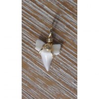 Pendentif 11 petite dent de requin mako