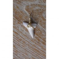 Pendentif 14 dent de requin mako