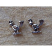 Clous d'oreilles oiseau