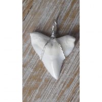 Pendentif 6 dent de requin blanc