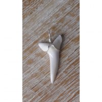 Pendentif dent de requin mako