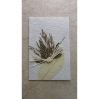Carte naturelle 2