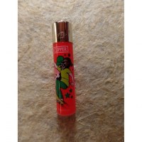 Briquet skate skulls rouge