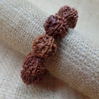 Bracelet mala rudraksha