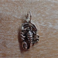 Pendentif scorpion