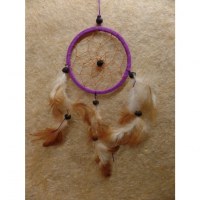 Dreamcatcher mauve hawi II