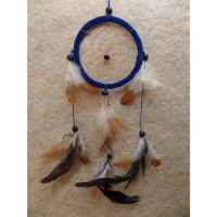 Dreamcatcher marine hawi II