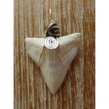 Pendentif dent de requin B4