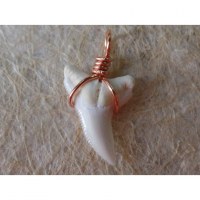 Pendentif petite dent de requin blanc 1