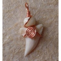 Pendentif spirale dent de requin blanc 2