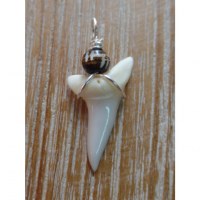 Pendentif dent de requin M3