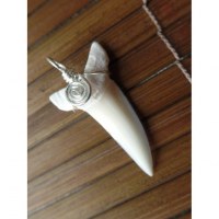 Pendentif Vintage Forme Dent - Matière Véritable Beige, Fil Doré, Occasion, Origine France