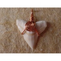 Pendentif dent de requin blanc 4