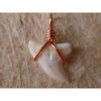 Pendentif petite dent de requin blanc 5