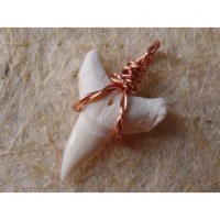 Pendentif petite dent de requin blanc 6