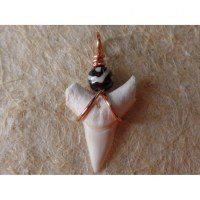 Pendentif dent de requin blanc 7