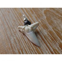 Pendentif dent de requin B10