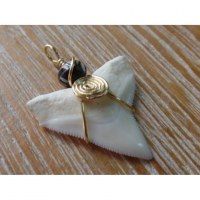 Pendentif dent de requin B11