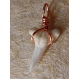 Pendentif B4 dent de requin blanc 