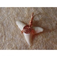 Pendentif B5 dent de requin blanc 