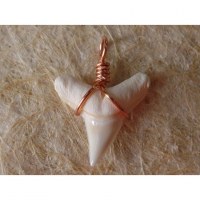 Pendentif B10 dent de requin blanc 