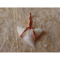 Pendentif B11 petite dent de requin blanc 