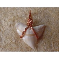 Pendentif torsadé B14 dent de requin blanc 