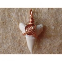 Pendentif B33 petite dent de requin blanc 